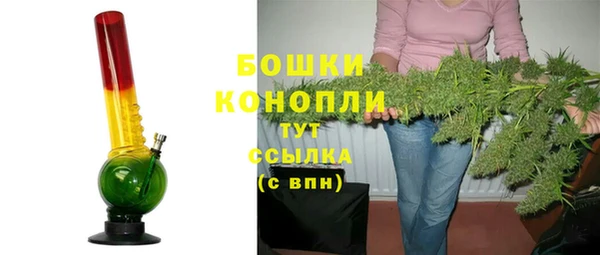индика Балабаново